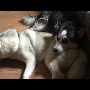 Meet your Posher, Lee